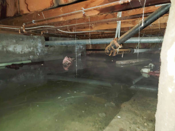 Best Residential water damage restoration  in Wildwood Lake, TN