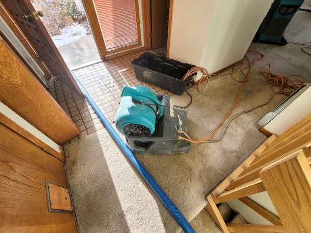 Best Flooded house restoration  in Wildwood Lake, TN