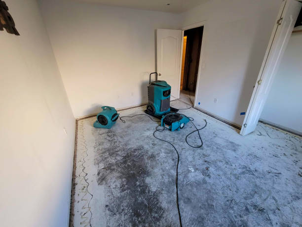 Best Carpet water damage restoration  in Wildwood Lake, TN
