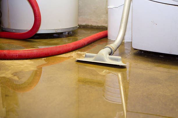 Best Ceiling water damage repair  in Wildwood Lake, TN