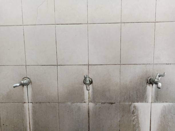  Wildwood Lake, TN Water damage restoration Pros