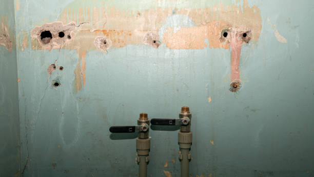 Best 24/7 water damage repair  in Wildwood Lake, TN