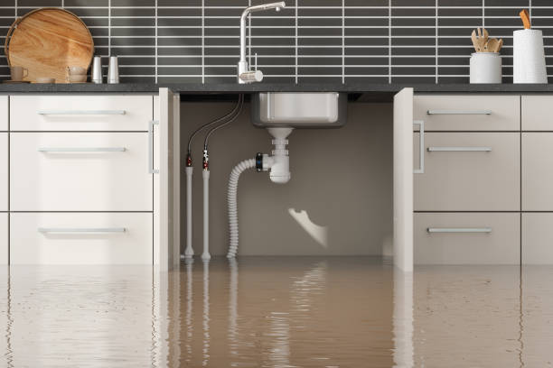 Best Commercial water damage restoration  in Wildwood Lake, TN