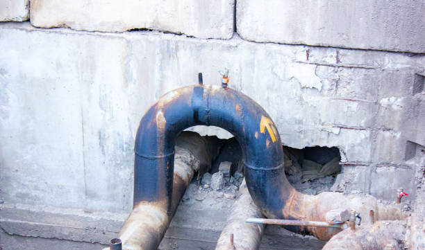 Best Sewage cleanup and water damage restoration  in Wildwood Lake, TN